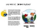 Jaki powinien być plecak dla pierwszoklasisty, aby zadbać o zdrowie dziecka