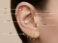 Złote kolczyki w uchu: flat, helix, conch, lobe, forward helix, daith, tragus. Różne nazwy kolczyków w uchu.