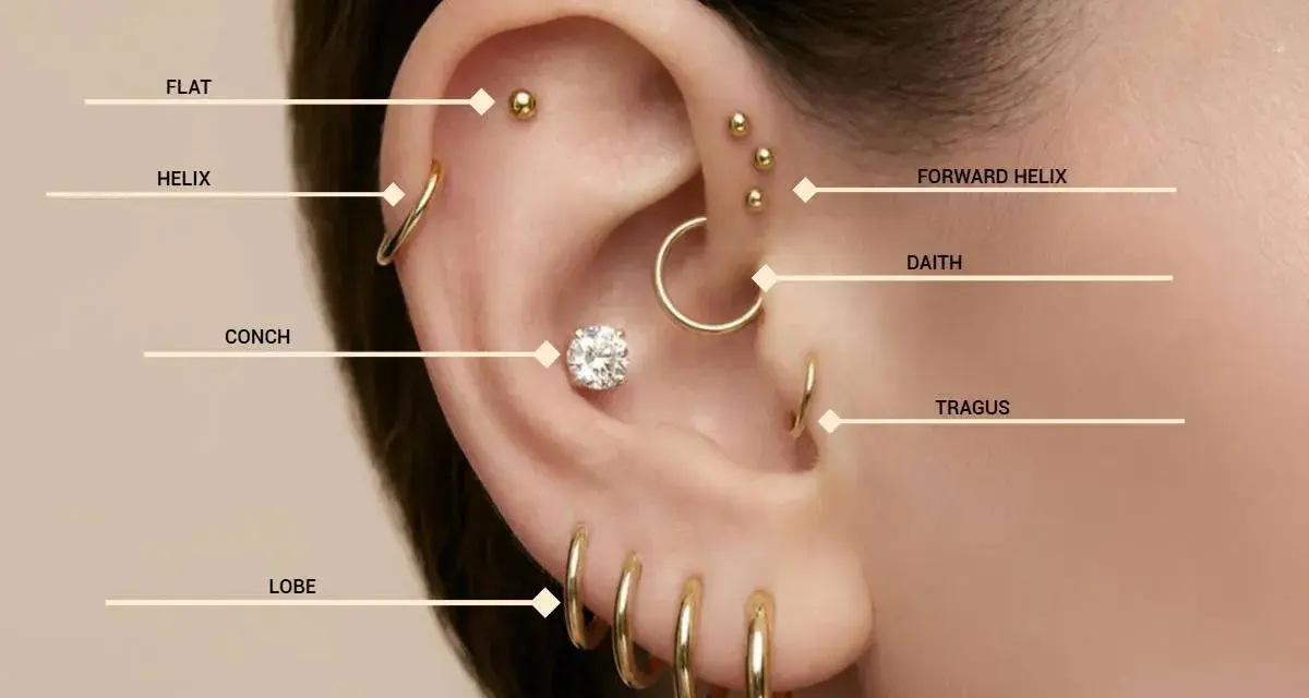 Złote kolczyki w uchu: flat, helix, conch, lobe, forward helix, daith, tragus. Różne nazwy kolczyków w uchu.