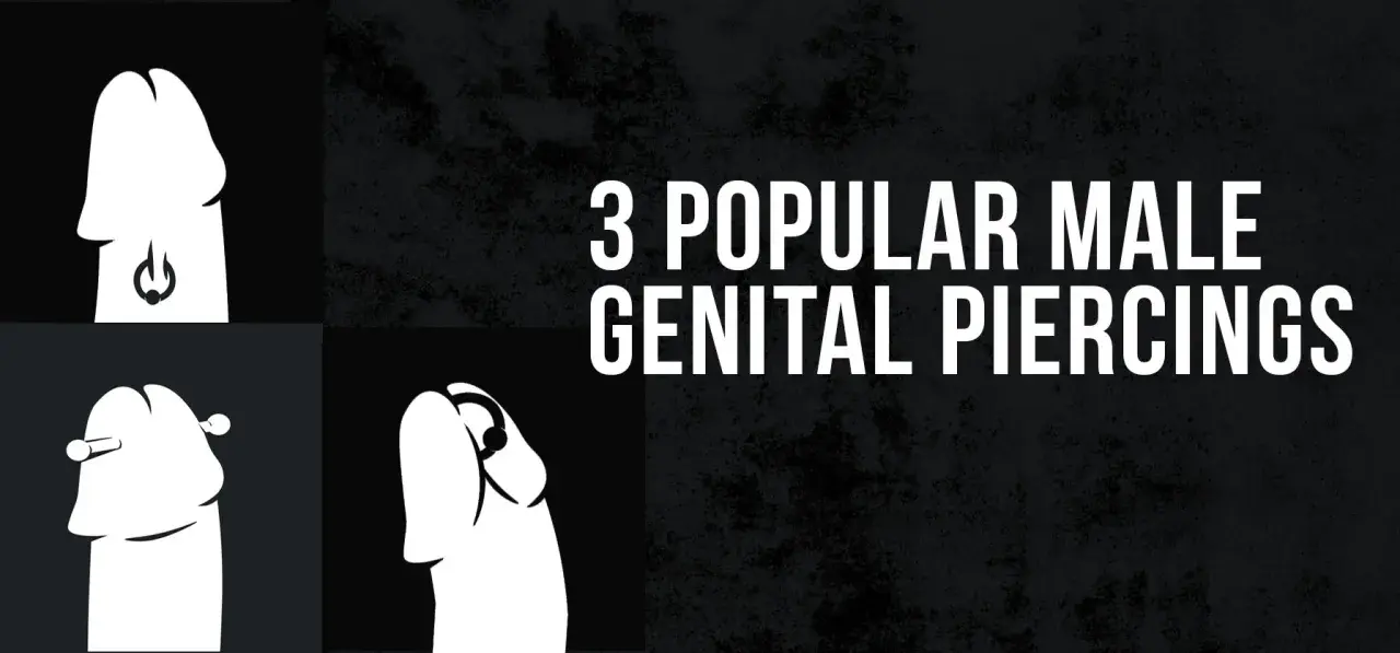 Ilustracje pokazują trzy rodzaje piercingu penisa: pierścień, sztangę i kółko.