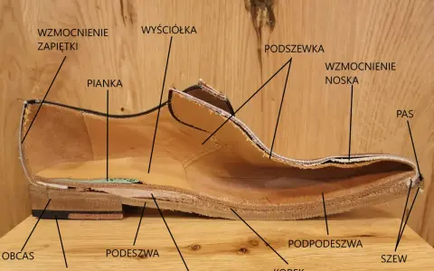 Przekrój buta z widocznymi częściami: podeszwa, obcas, flek, pianka, wyściółka, wzmocnienie noska i zapiętki, podszewka, podpodeszwa, korek, stalak, pas, szew.